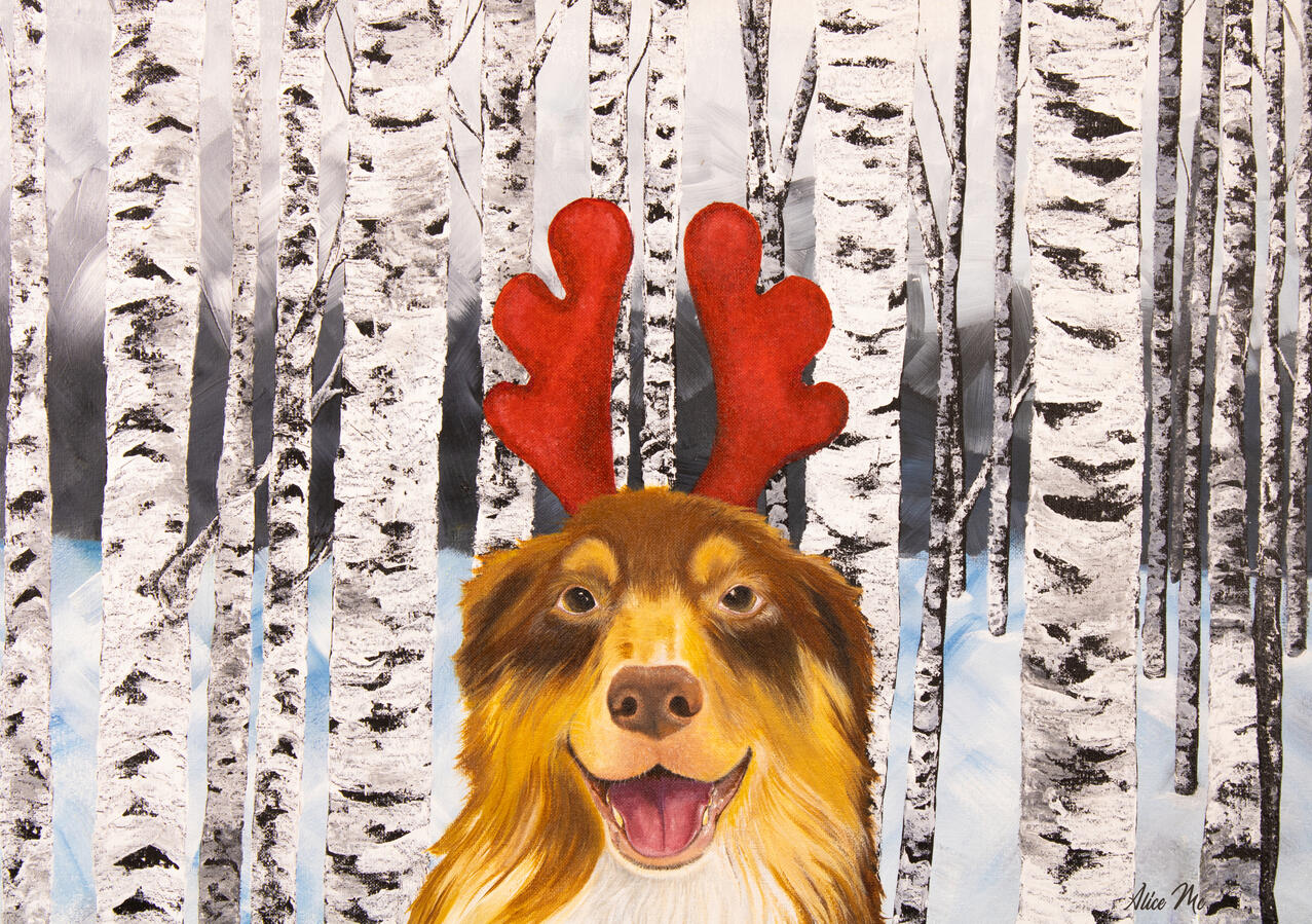 Aussie Reindeer